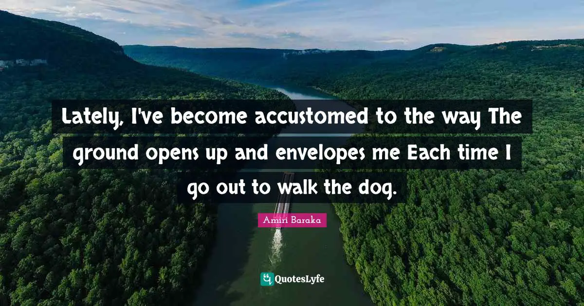 Amiri Baraka Quotes: "Lately, I've become accustomed to the way The ground opens up and envelopes me Each time I go out to walk the dog."