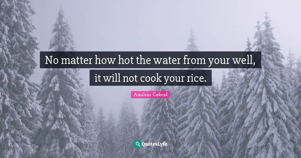 Water Quotes: "No matter how hot the water from your well, it will not cook your rice."