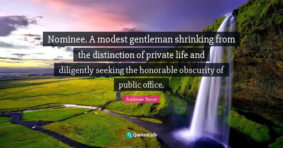 Nominee. A modest gentleman shrinking from the distinction of private life and diligently seeking the honorable obscurity of public office.