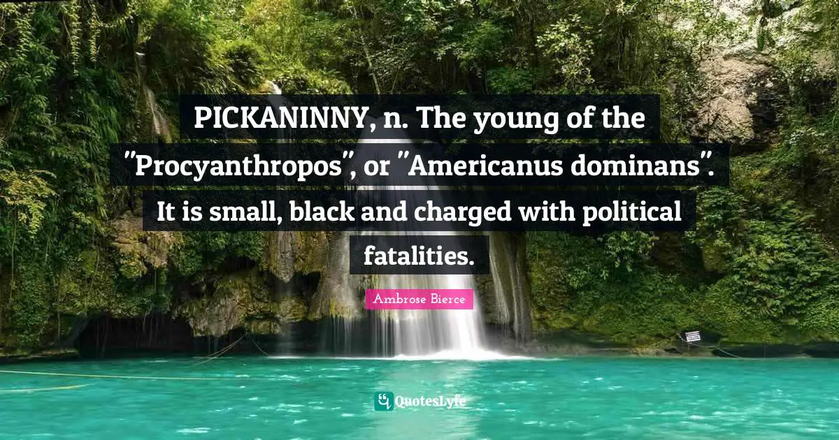 PICKANINNY, n. The young of the "Procyanthropos", or "Americanus dominans". It is small, black and charged with political fatalities.