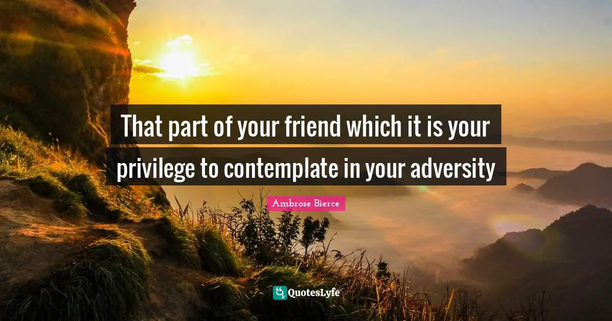 That part of your friend which it is your privilege to contemplate in your adversity