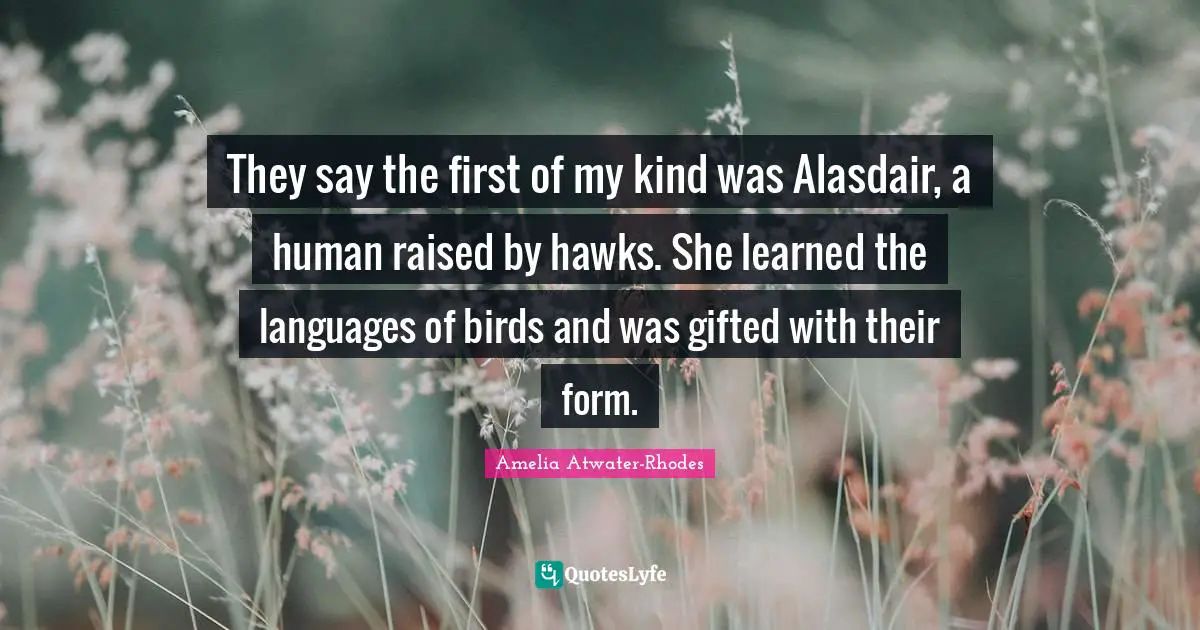 They say the first of my kind was Alasdair, a human raised by hawks. She learned the languages of birds and was gifted with their form.