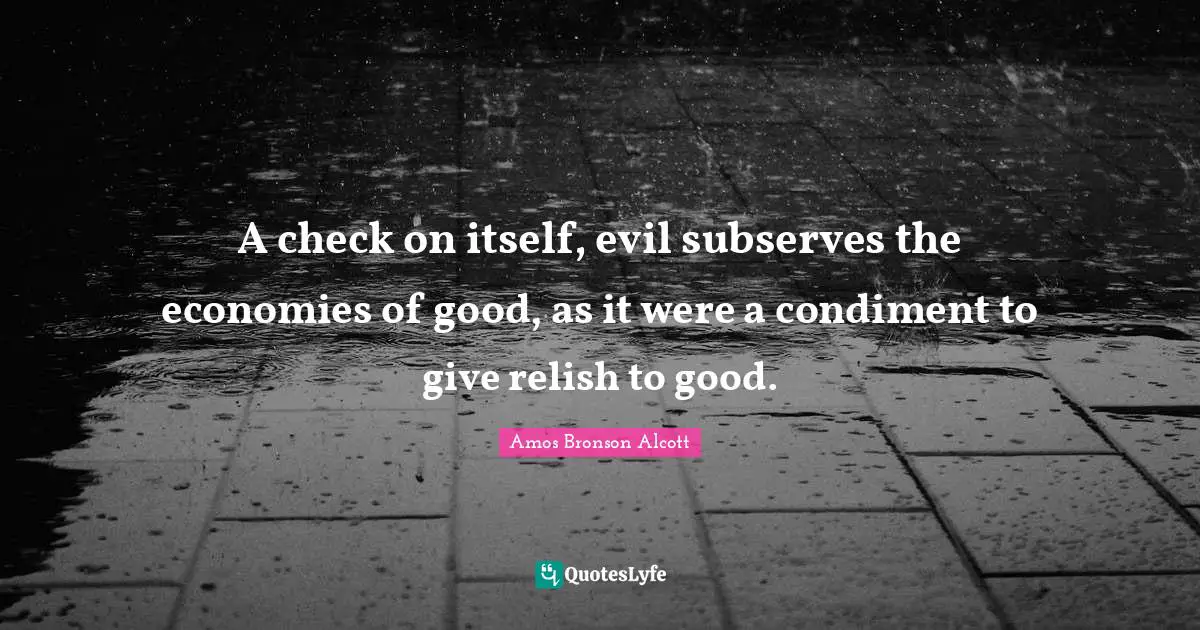 A check on itself, evil subserves the economies of good, as it were a condiment to give relish to good.