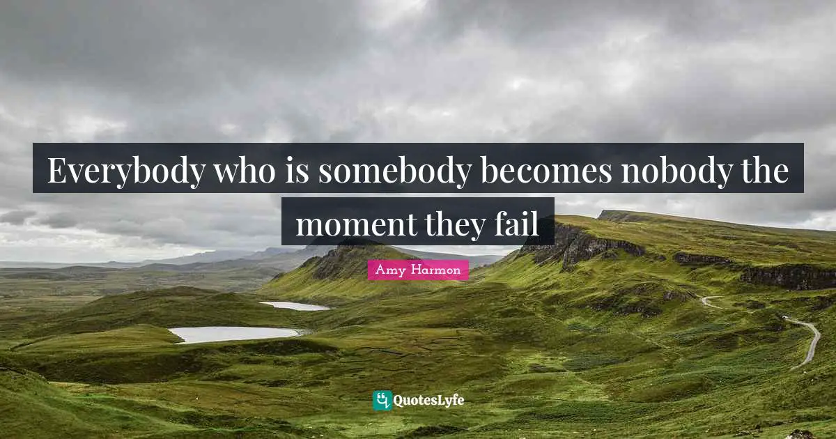 Everybody who is somebody becomes nobody the moment they fail