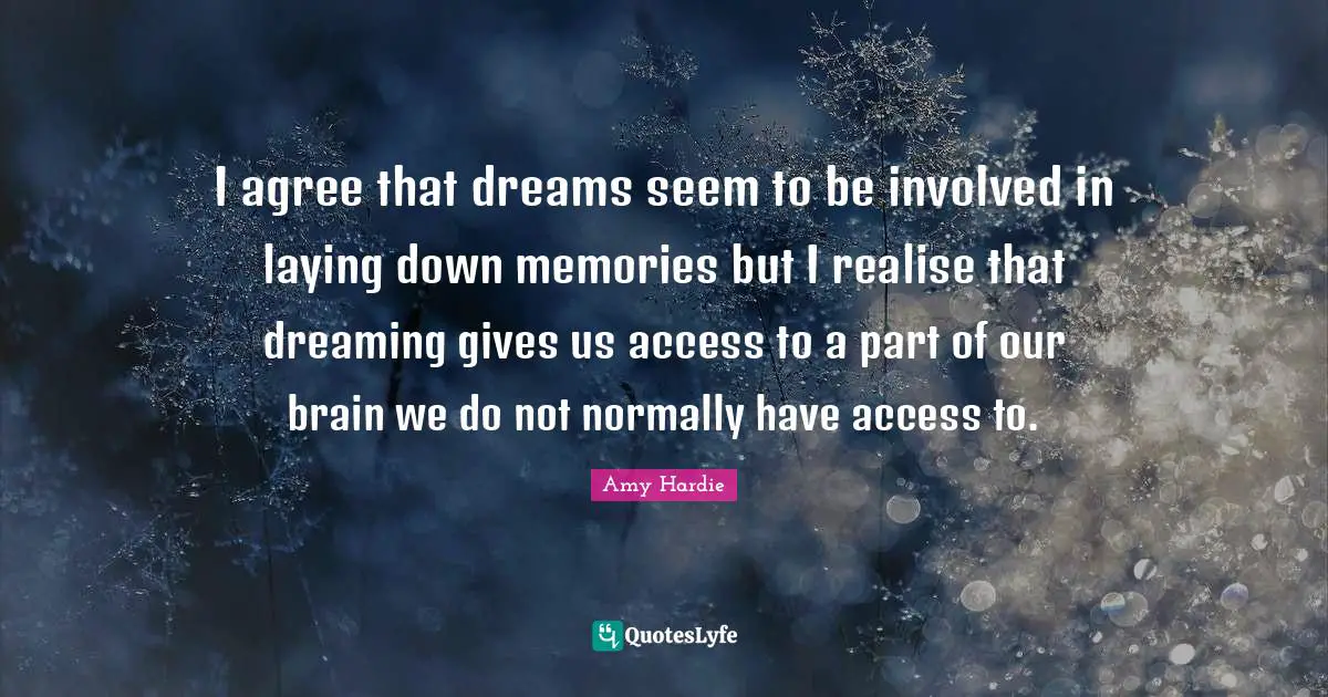 I agree that dreams seem to be involved in laying down memories but I realise that dreaming gives us access to a part of our brain we do not normally have access to.