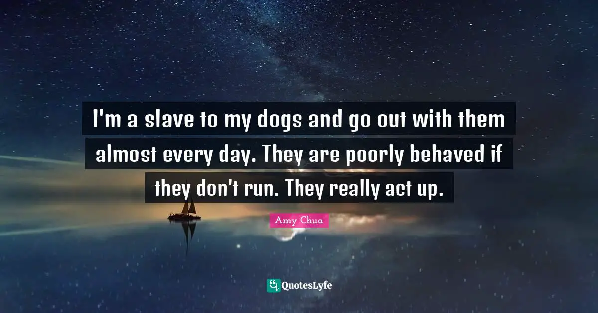 Amy Chua Quotes: "I'm a slave to my dogs and go out with them almost every day. They are poorly behaved if they don't run. They really act up."