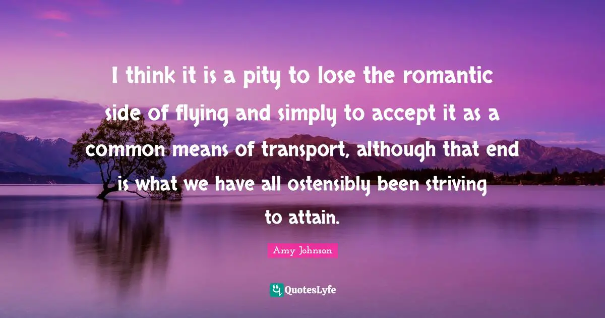 I think it is a pity to lose the romantic side of flying and simply to accept it as a common means of transport, although that end is what we have all ostensibly been striving to attain.