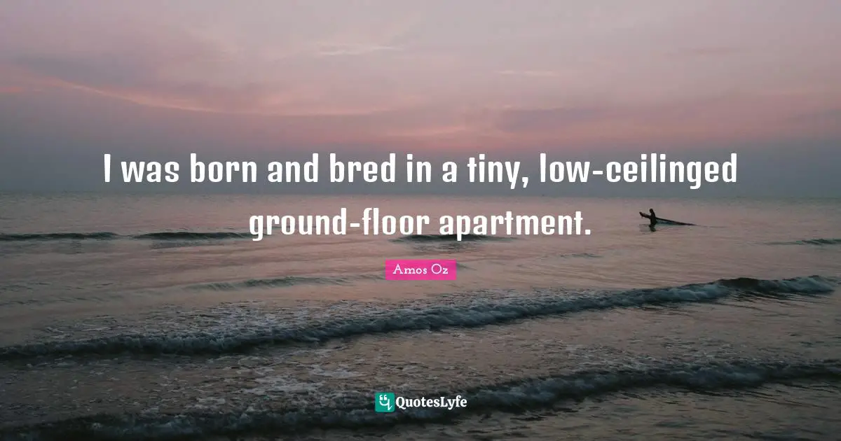 I was born and bred in a tiny, low-ceilinged ground-floor apartment.