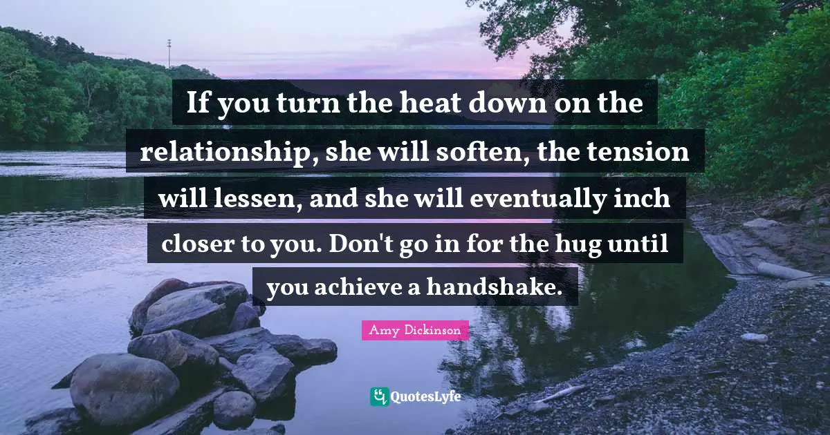 If you turn the heat down on the relationship, she will soften, the tension will lessen, and she will eventually inch closer to you. Don't go in for the hug until you achieve a handshake.