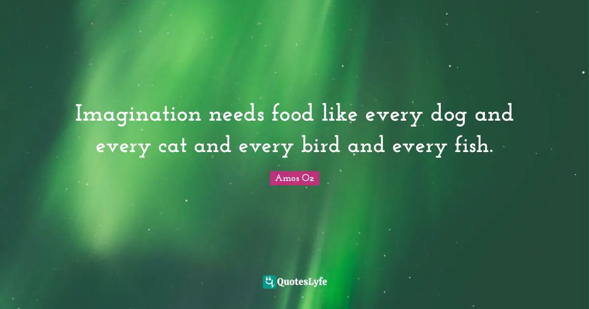 Imagination needs food like every dog and every cat and every bird and every fish.
