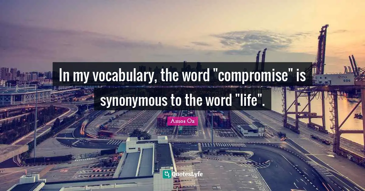 In my vocabulary, the word "compromise" is synonymous to the word "life".