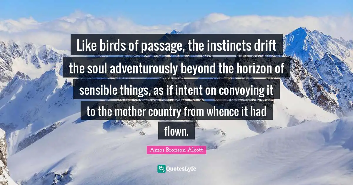 Amos Bronson Alcott Quotes: "Like birds of passage, the instincts drift the soul adventurously beyond the horizon of sensible things, as if intent on convoying it to the mother country from whence it had flown."