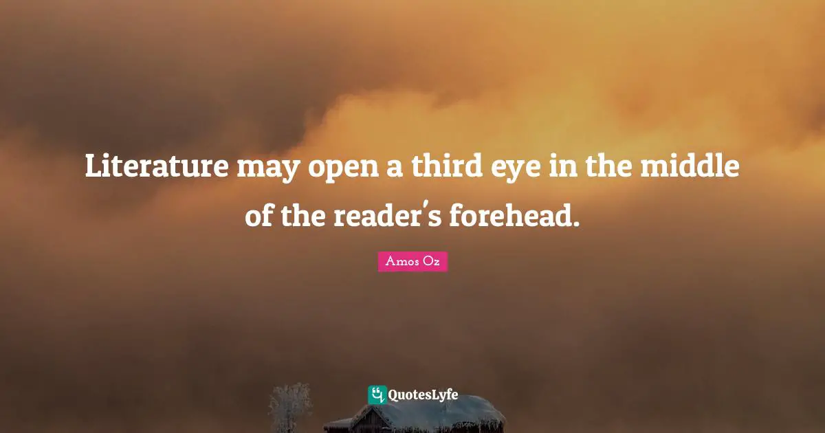 Literature may open a third eye in the middle of the reader's forehead.