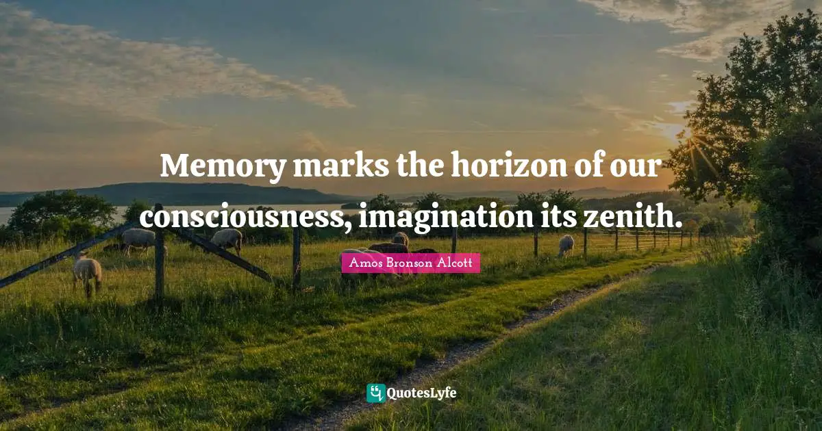 Po Bronson Quotes: "Memory marks the horizon of our consciousness, imagination its zenith."