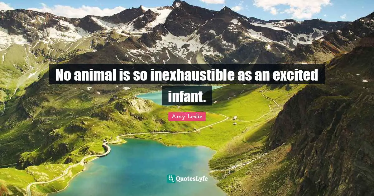 No animal is so inexhaustible as an excited infant.