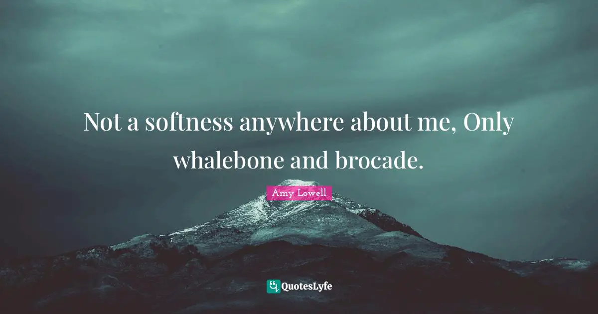 Softness Quotes: "Not a softness anywhere about me, Only whalebone and brocade."