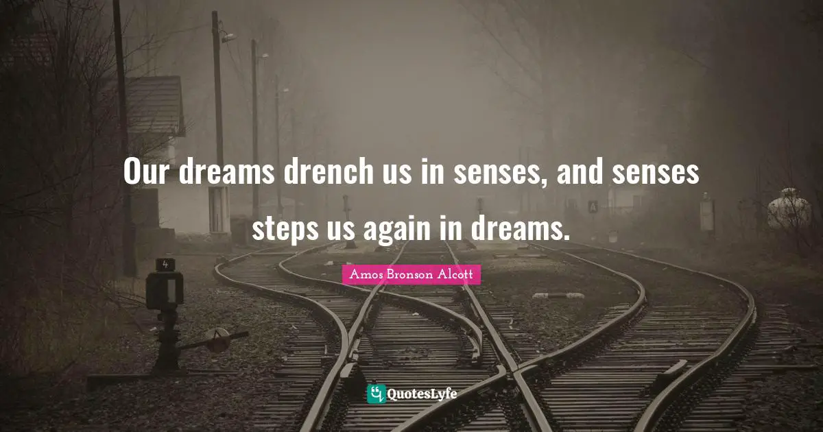 Po Bronson Quotes: "Our dreams drench us in senses, and senses steps us again in dreams."