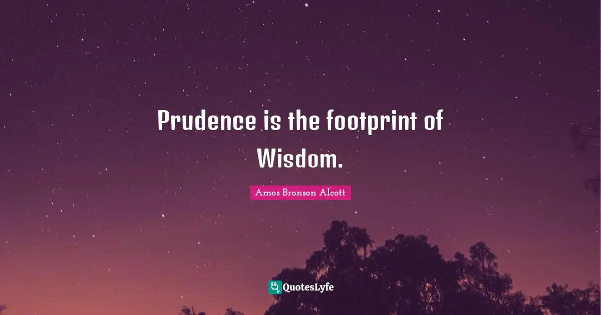 Po Bronson Quotes: "Prudence is the footprint of Wisdom."