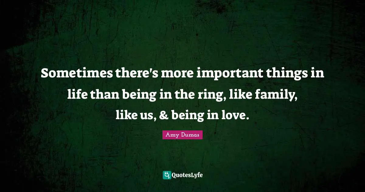 Sometimes there's more important things in life than being in the ring, like family, like us, & being in love.