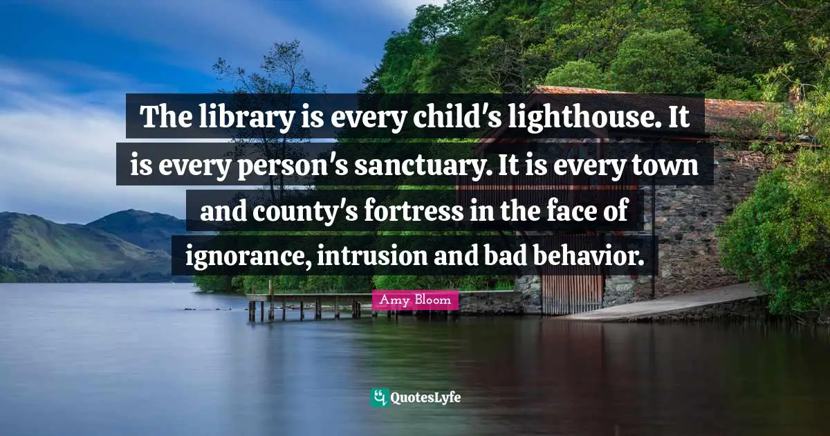 County Quotes: "The library is every child's lighthouse. It is every person's sanctuary. It is every town and county's fortress in the face of ignorance, intrusion and bad behavior."