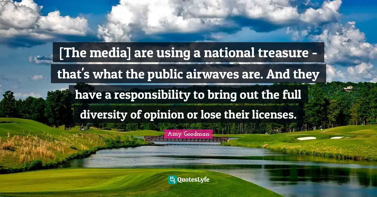 [The media] are using a national treasure - that's what the public airwaves are. And they have a responsibility to bring out the full diversity of opinion or lose their licenses.