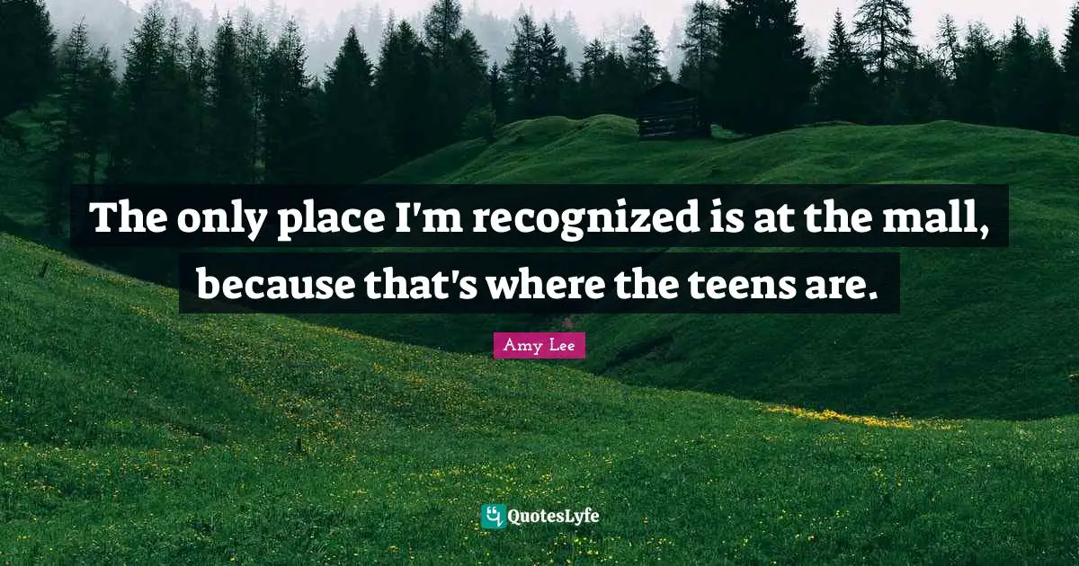 Amy Lee Quotes: "The only place I'm recognized is at the mall, because that's where the teens are."