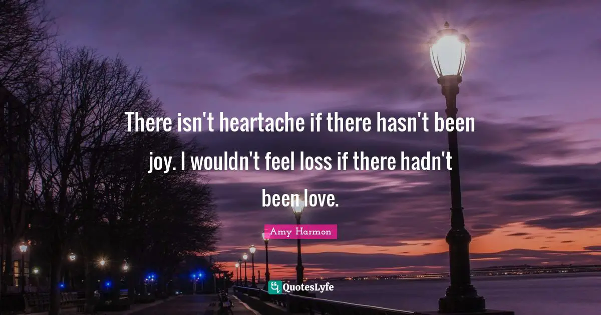 There isn't heartache if there hasn't been joy. I wouldn't feel loss if there hadn't been love.