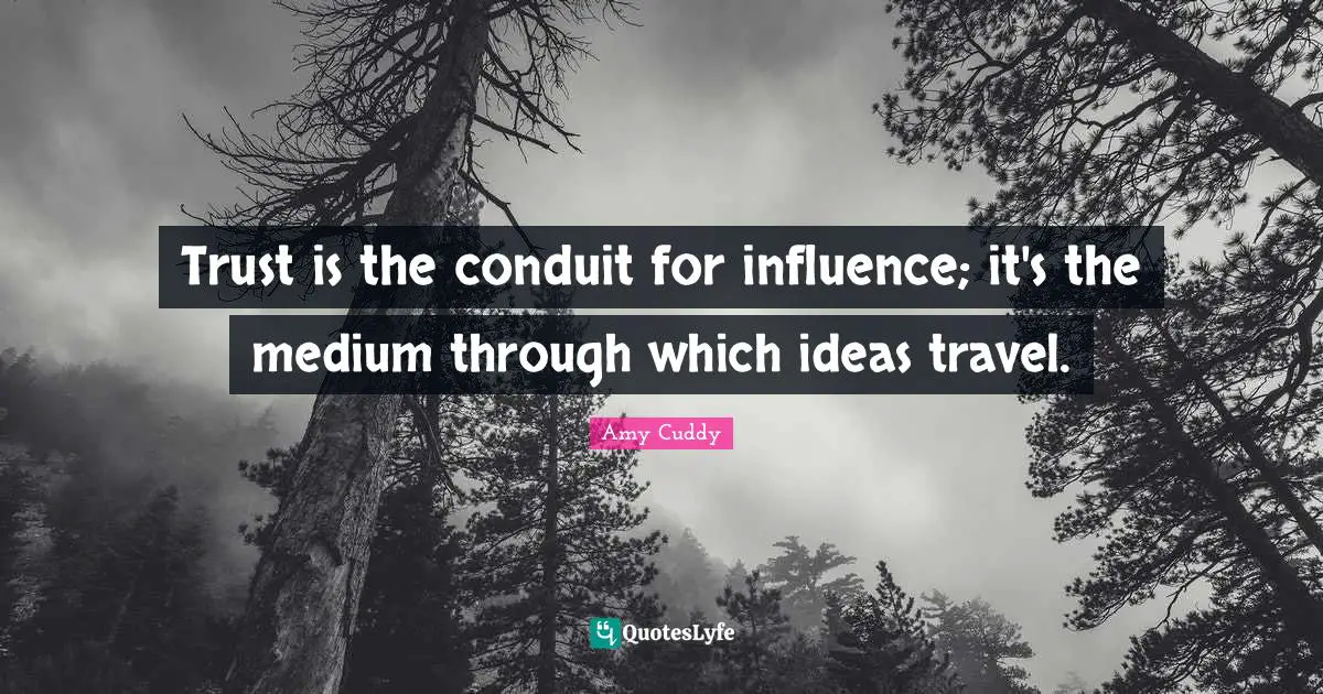 Trust is the conduit for influence; it's the medium through which ideas travel.