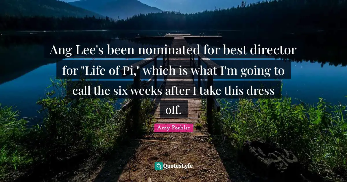 Ang Lee's been nominated for best director for "Life of Pi," which is what I'm going to call the six weeks after I take this dress off.