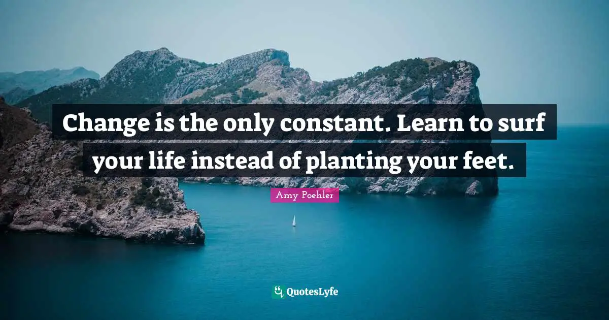 Change is the only constant. Learn to surf your life instead of planting your feet.