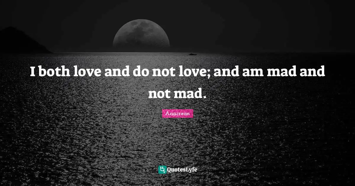 I both love and do not love; and am mad and not mad.