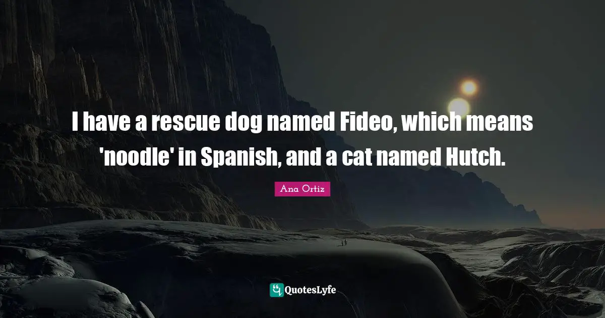 I have a rescue dog named Fideo, which means 'noodle' in Spanish, and a cat named Hutch.