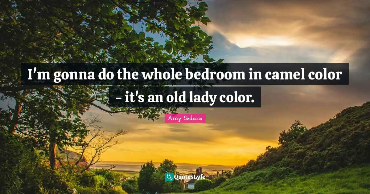 Camels Quotes: "I'm gonna do the whole bedroom in camel color - it's an old lady color."