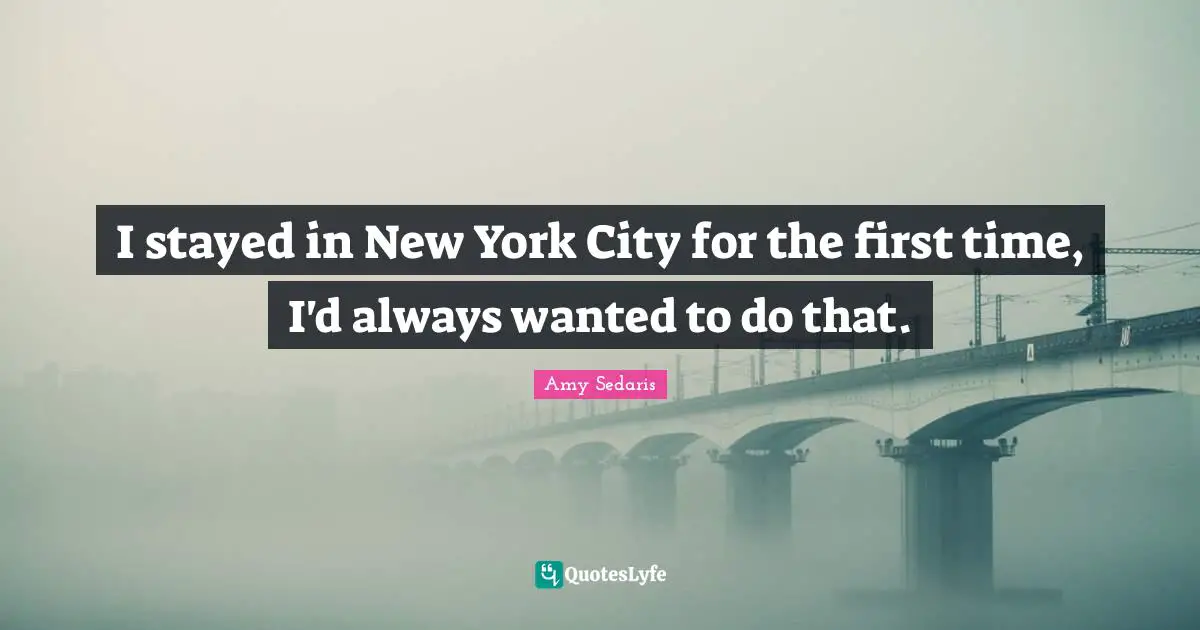 Amy Sedaris Quotes: "I stayed in New York City for the first time, I'd always wanted to do that."