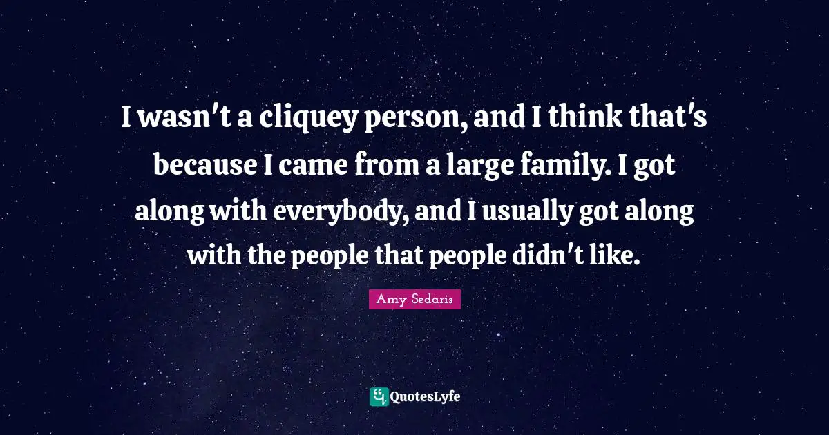 Amy Sedaris Quotes: "I wasn't a cliquey person, and I think that's because I came from a large family. I got along with everybody, and I usually got along with the people that people didn't like."