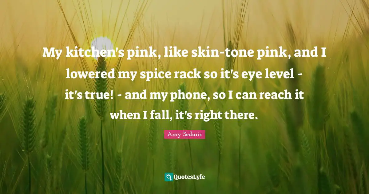 My kitchen's pink, like skin-tone pink, and I lowered my spice rack so it's eye level - it's true! - and my phone, so I can reach it when I fall, it's right there.