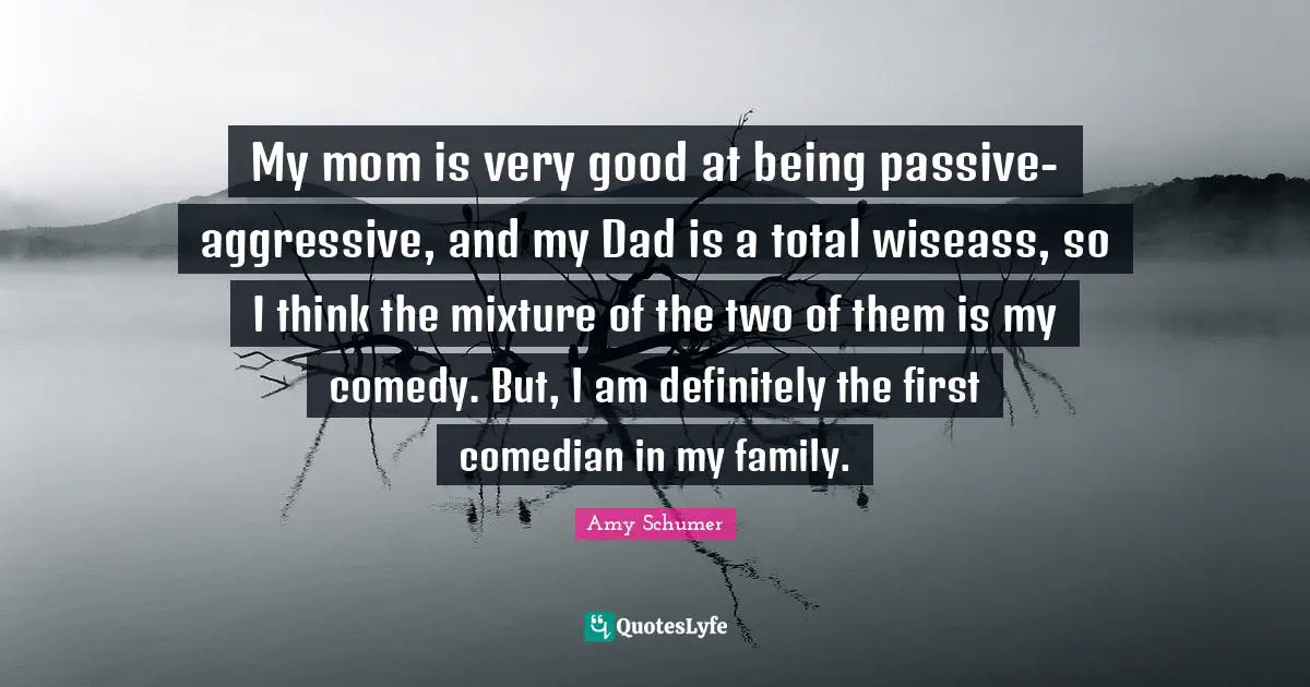My mom is very good at being passive-aggressive, and my Dad is a total wiseass, so I think the mixture of the two of them is my comedy. But, I am definitely the first comedian in my family.