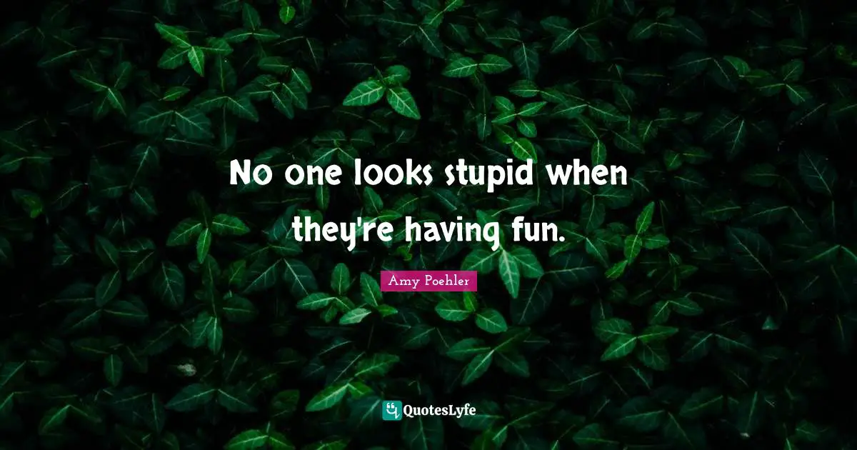 No one looks stupid when they're having fun.
