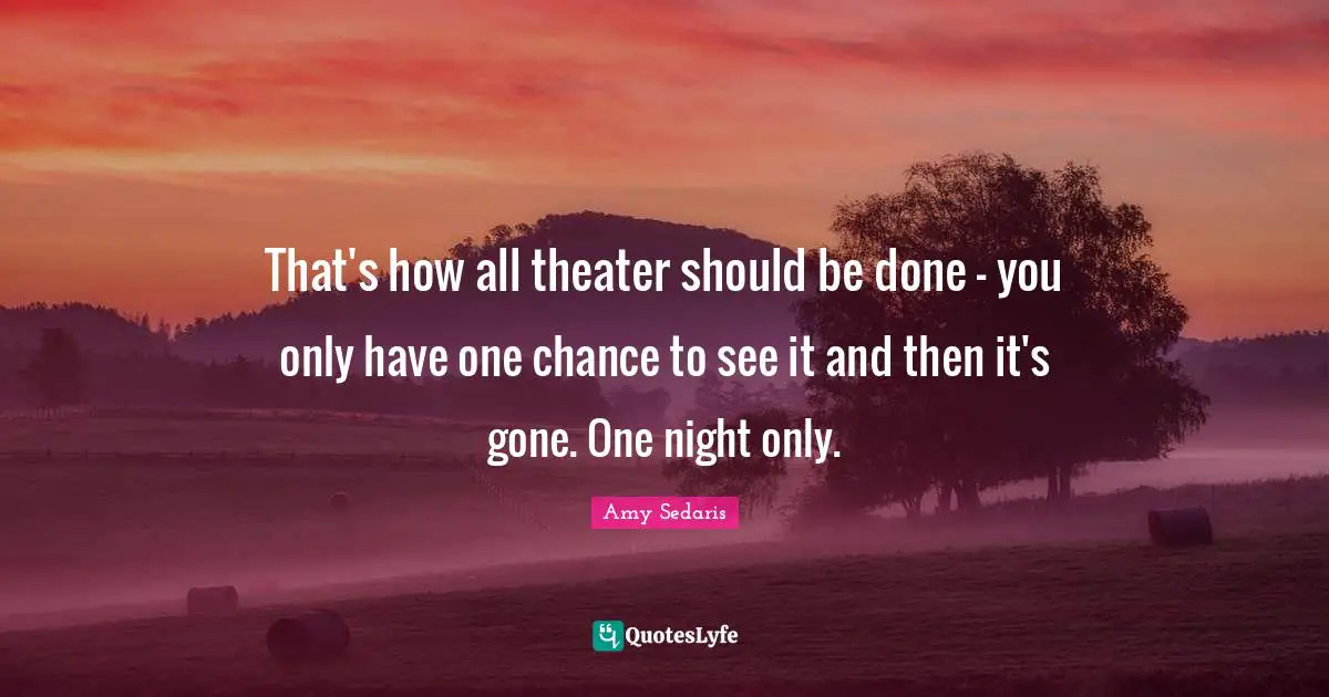 Amy Sedaris Quotes: "That's how all theater should be done - you only have one chance to see it and then it's gone. One night only."