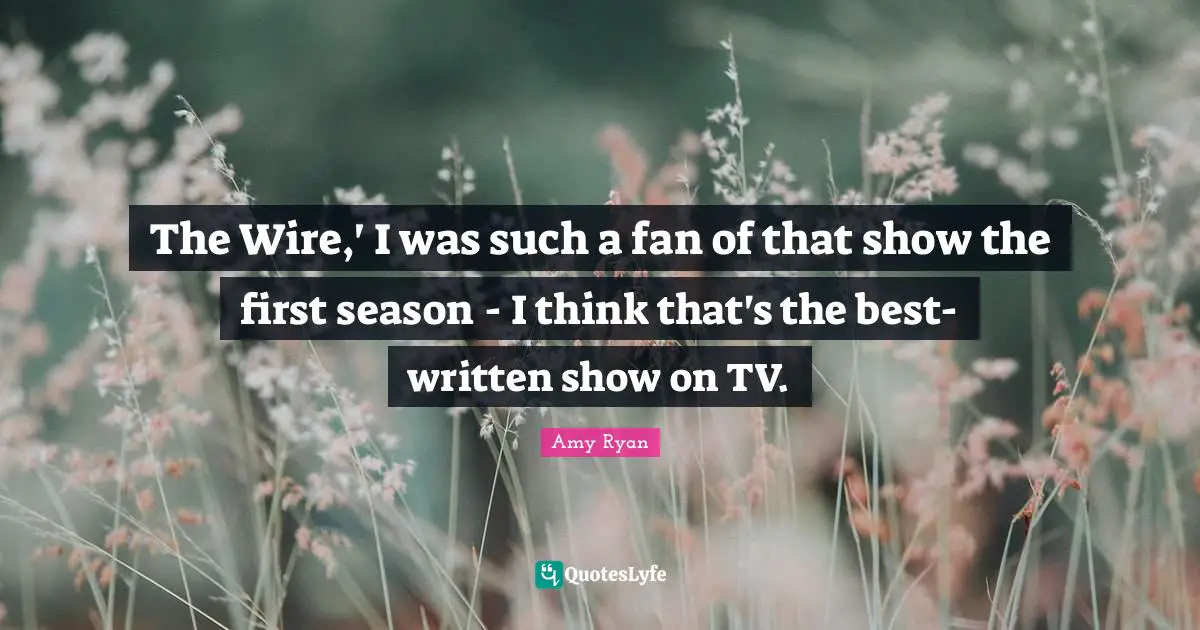 The Wire,' I was such a fan of that show the first season - I think that's the best-written show on TV.