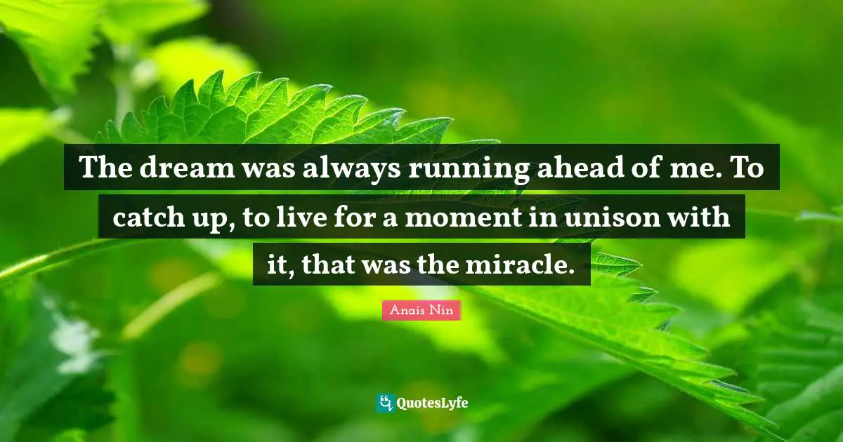 The dream was always running ahead of me. To catch up, to live for a moment in unison with it, that was the miracle.