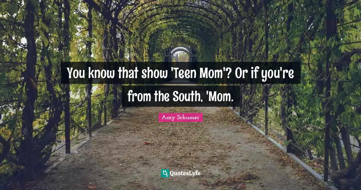 You know that show 'Teen Mom'? Or if you're from the South, 'Mom.