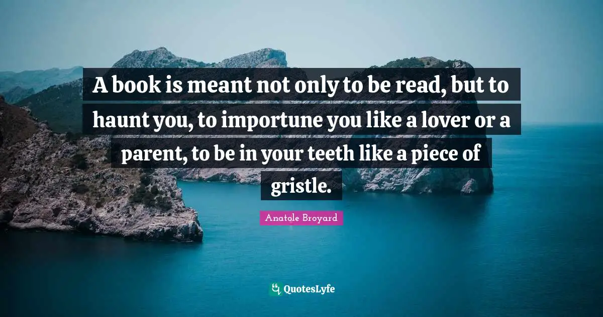 A book is meant not only to be read, but to haunt you, to importune you like a lover or a parent, to be in your teeth like a piece of gristle.