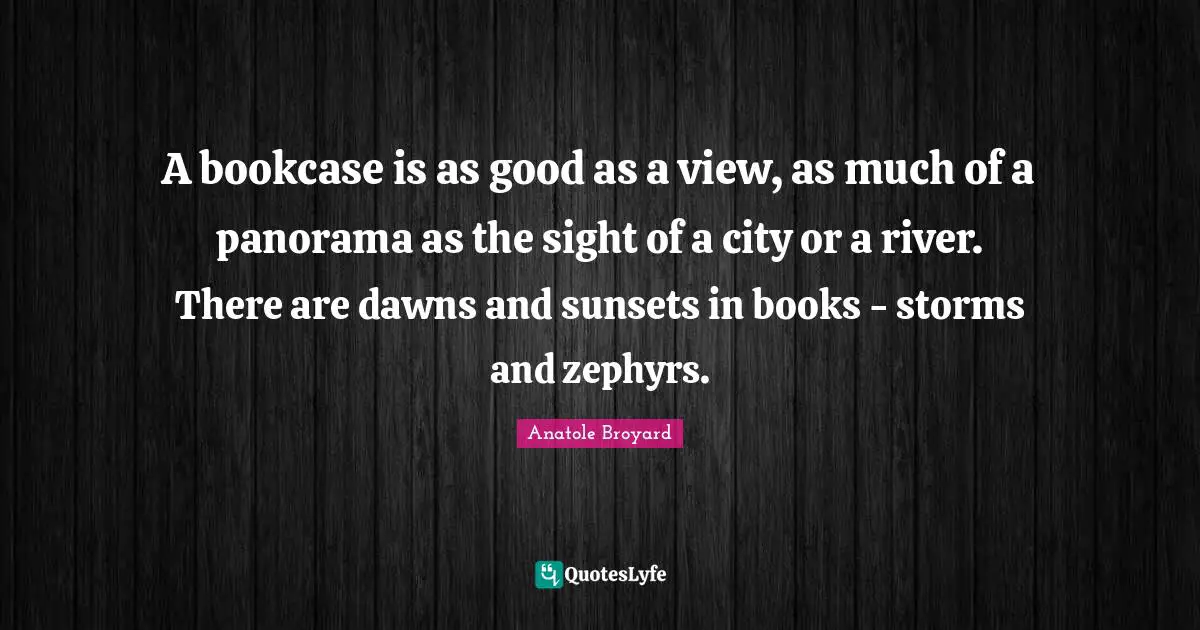 A bookcase is as good as a view, as much of a panorama as the sight of a city or a river. There are dawns and sunsets in books - storms and zephyrs.
