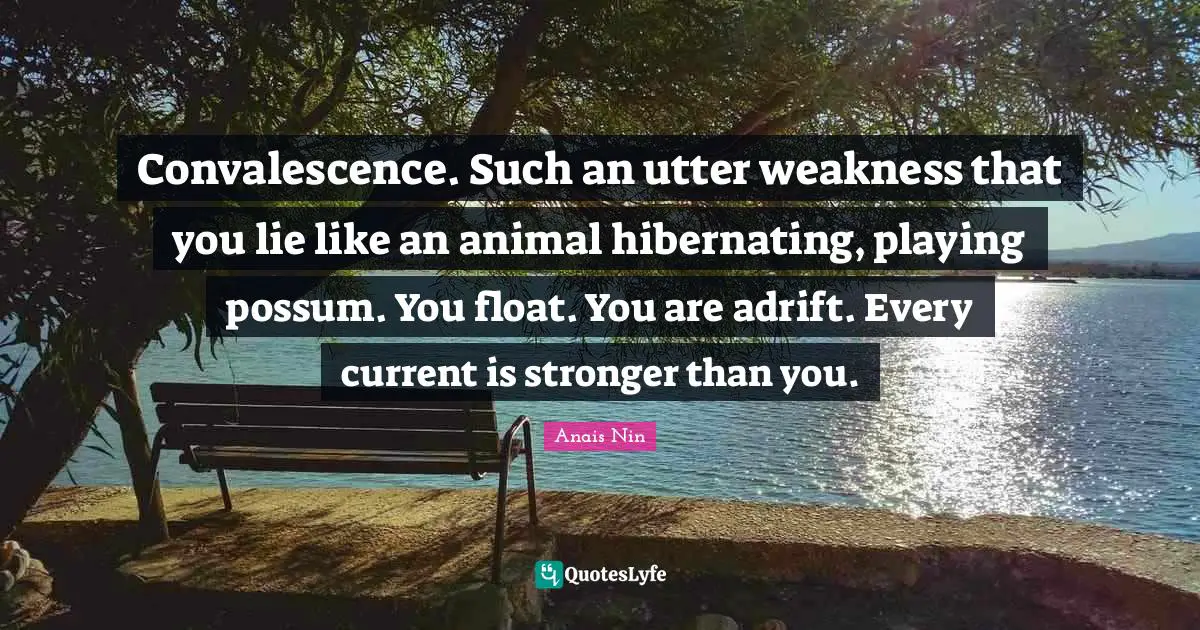 Convalescence. Such an utter weakness that you lie like an animal hibernating, playing possum. You float. You are adrift. Every current is stronger than you.