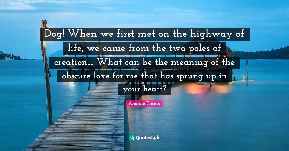 Dog! When we first met on the highway of life, we came from the two poles of creation.... What can be the meaning of the obscure love for me that has sprung up in your heart?
