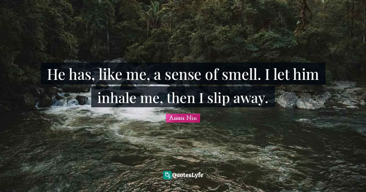 He has, like me, a sense of smell. I let him inhale me, then I slip away.