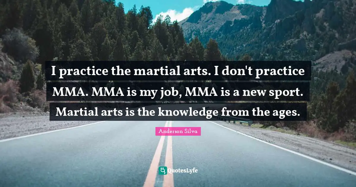 I practice the martial arts. I don't practice MMA. MMA is my job, MMA is a new sport. Martial arts is the knowledge from the ages.