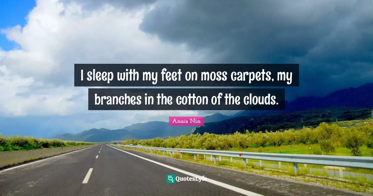 I sleep with my feet on moss carpets, my branches in the cotton of the clouds.