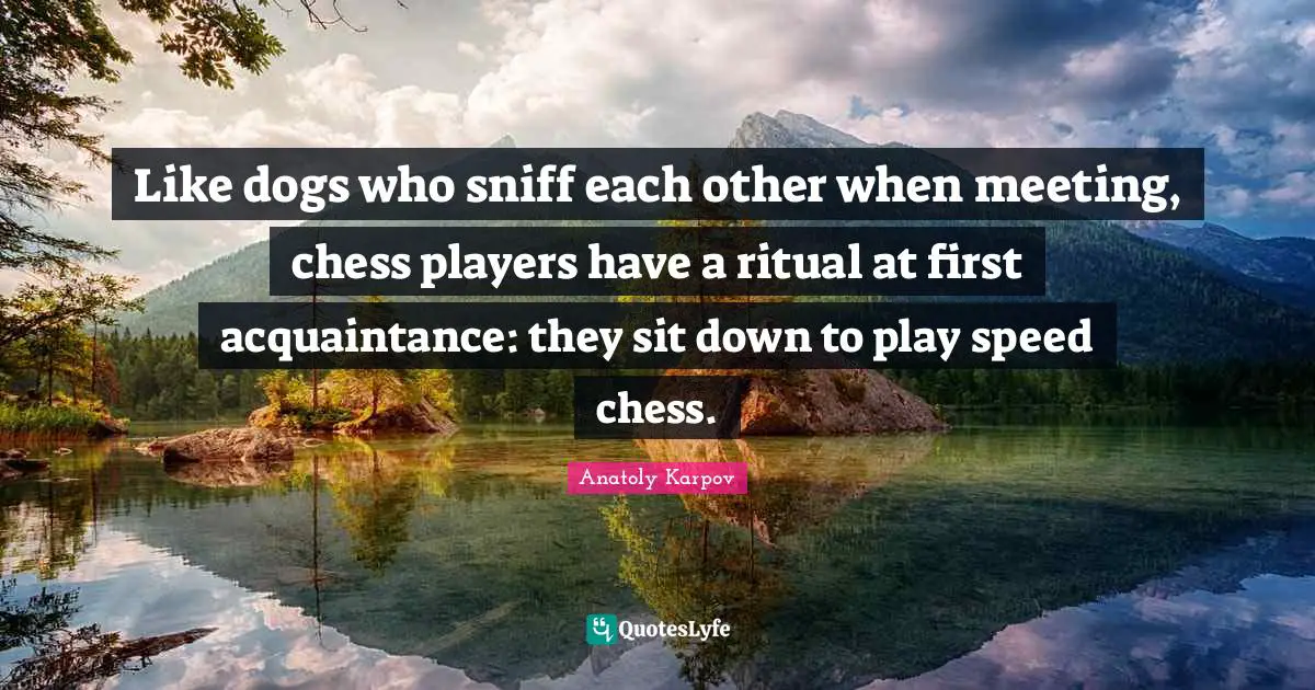 Playing Chess Quotes: "Like dogs who sniff each other when meeting, chess players have a ritual at first acquaintance: they sit down to play speed chess."